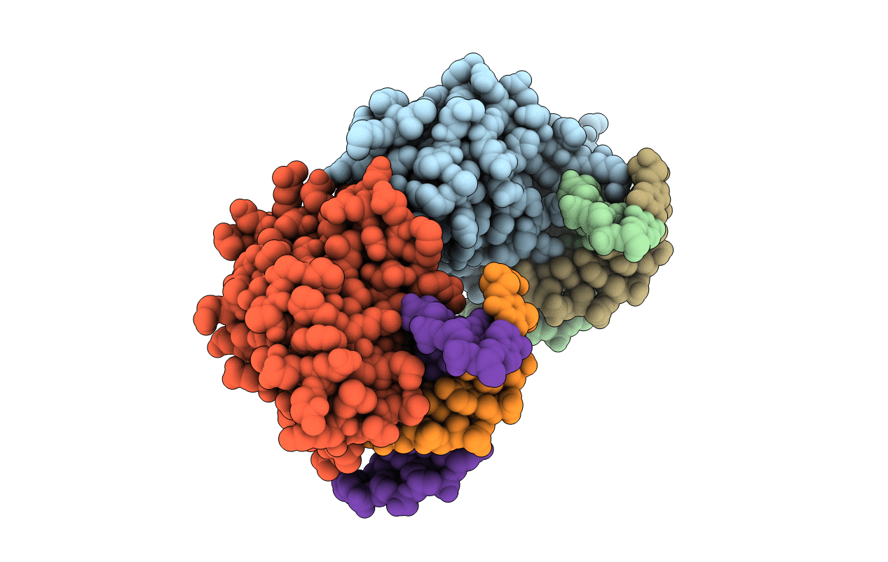1LRR image