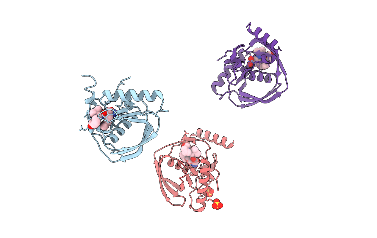 1LRU image