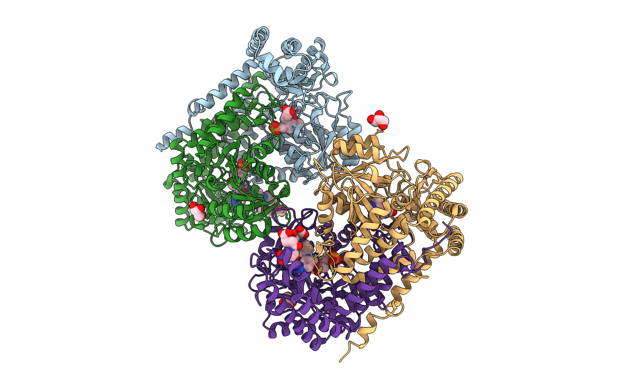 1LS3 image