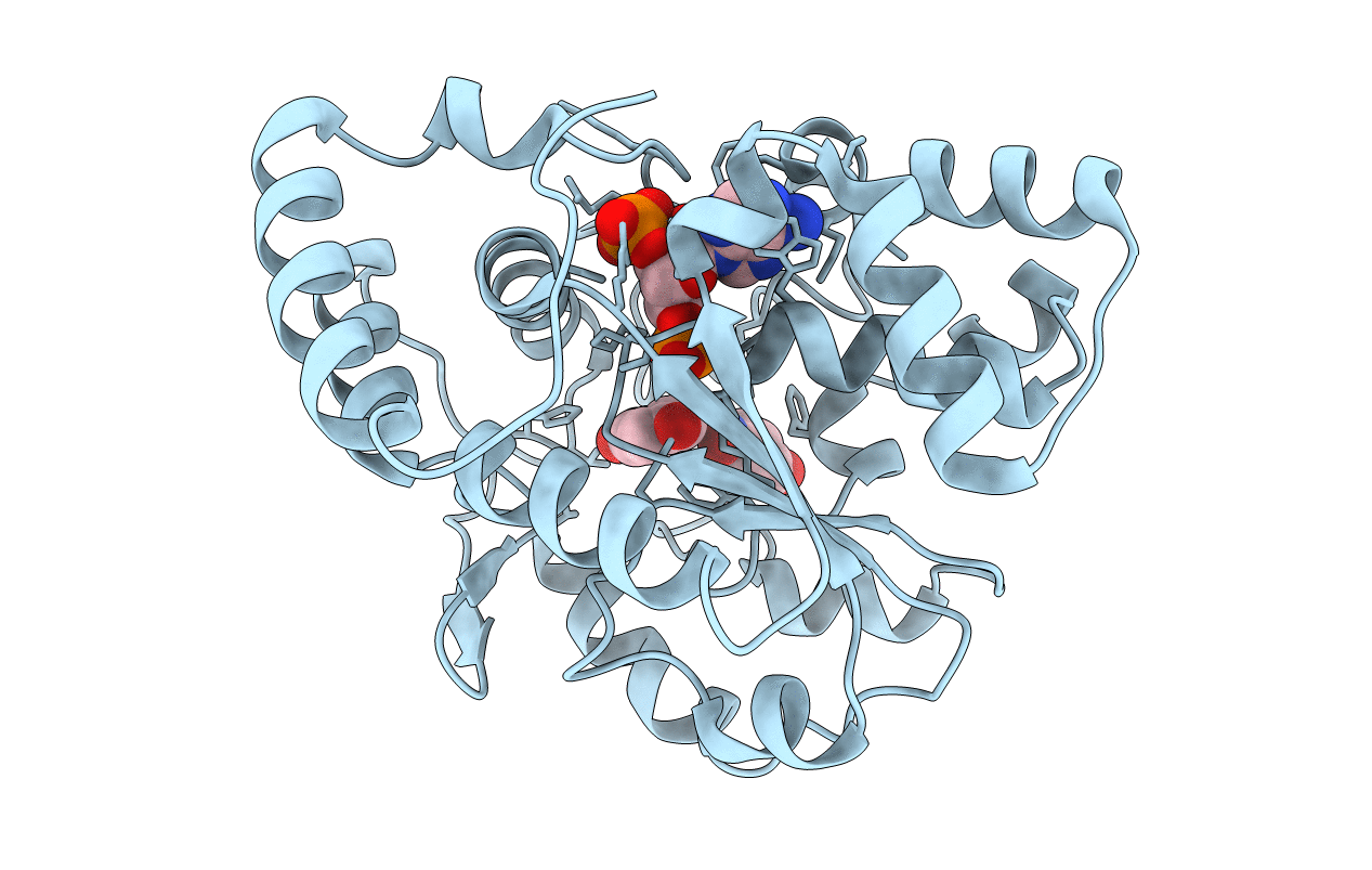 1LS6 image
