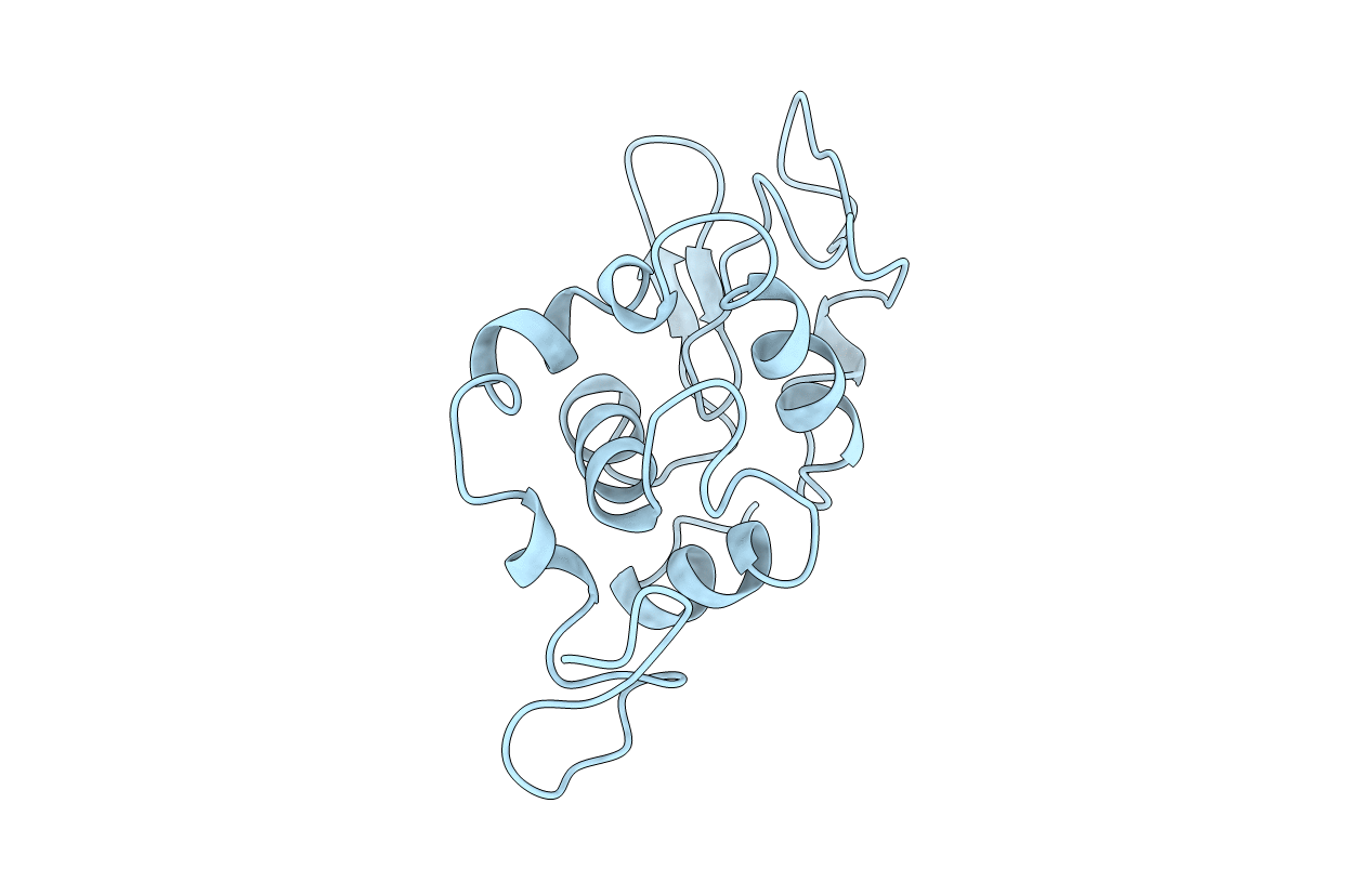 1LSG image