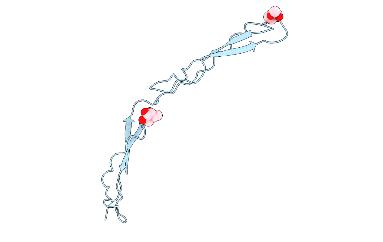 1LSL image