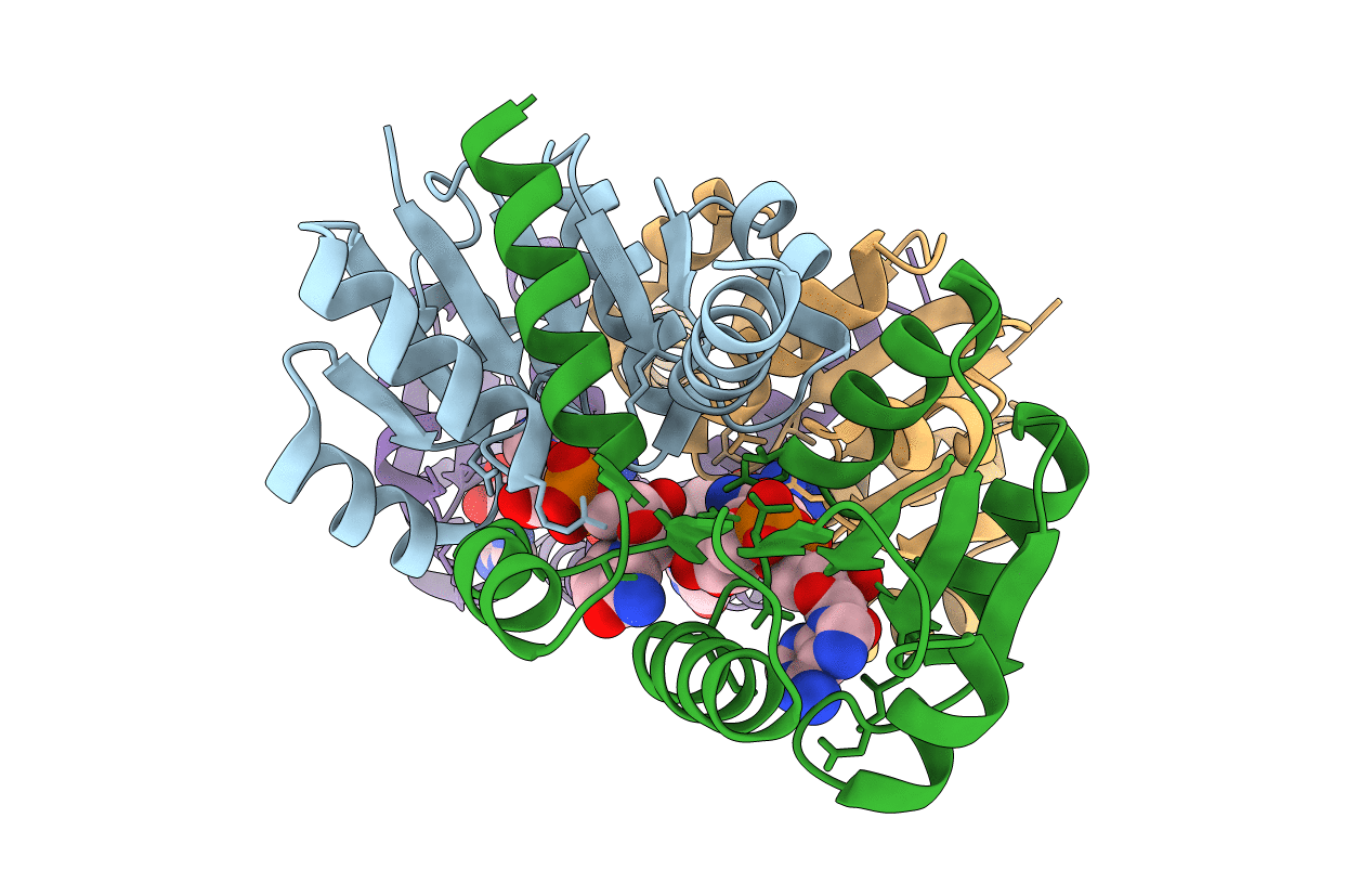 1LSS image
