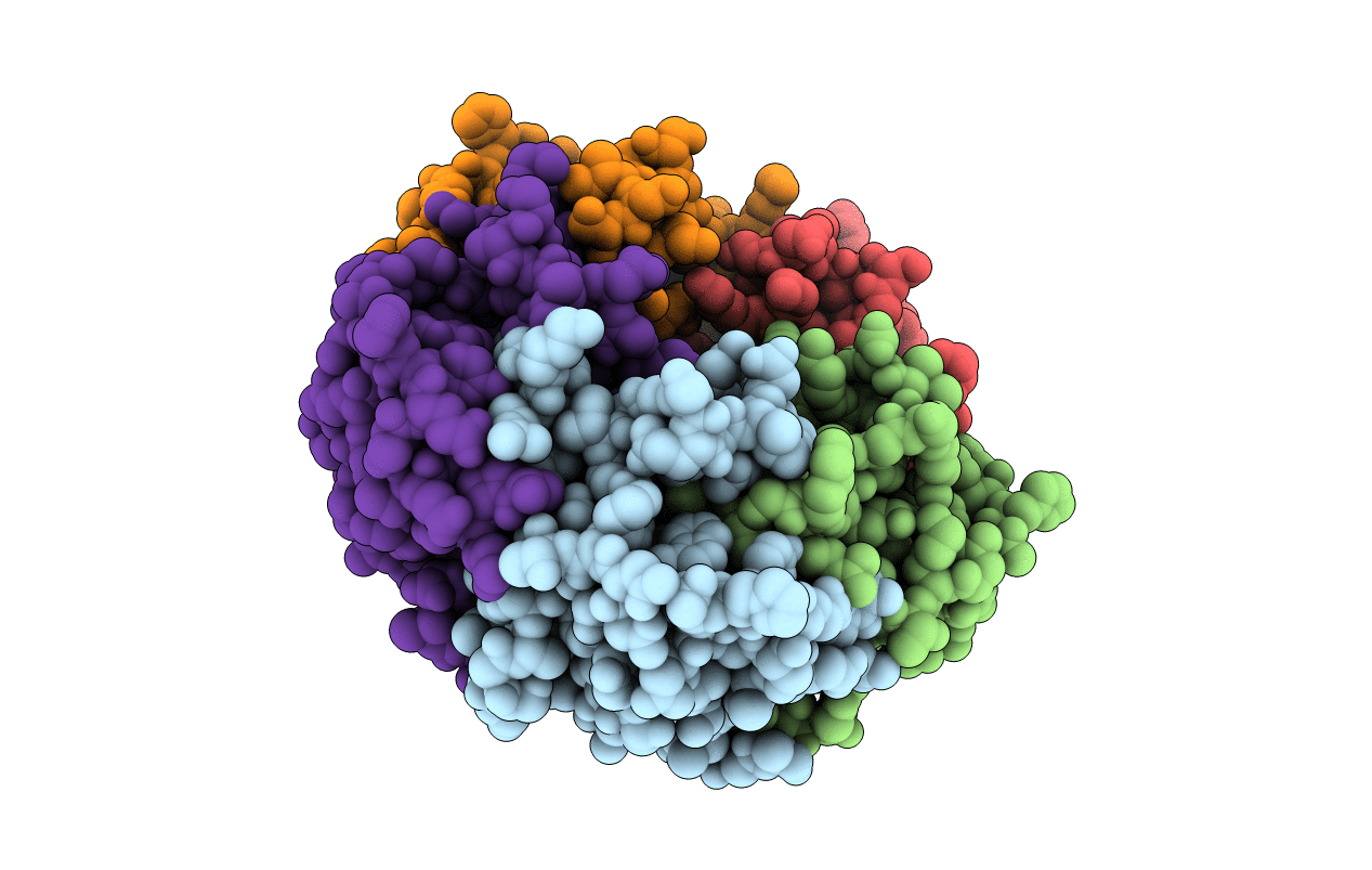 1LTR image