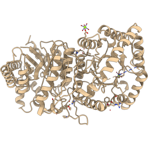 1LUC image