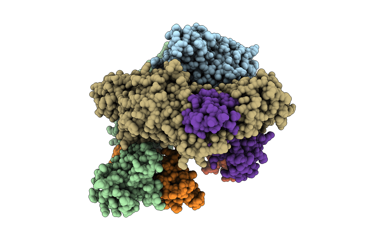 1LVC image