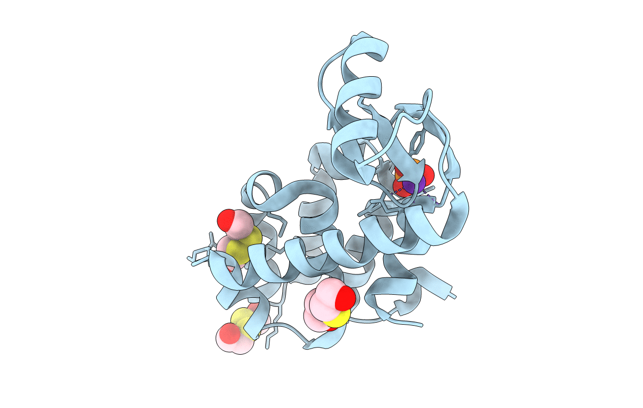 1LWG image