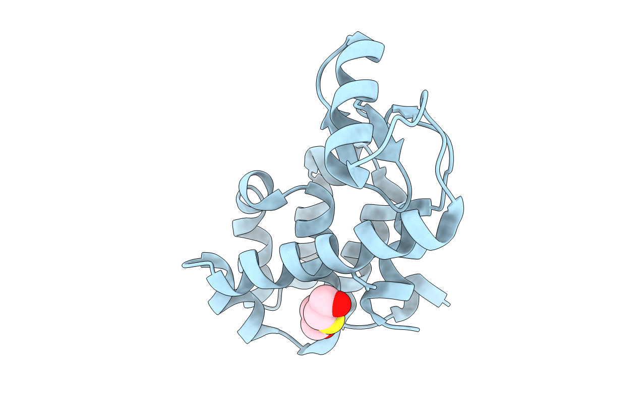 1LWK image
