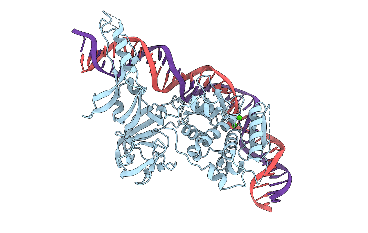 1LWS image