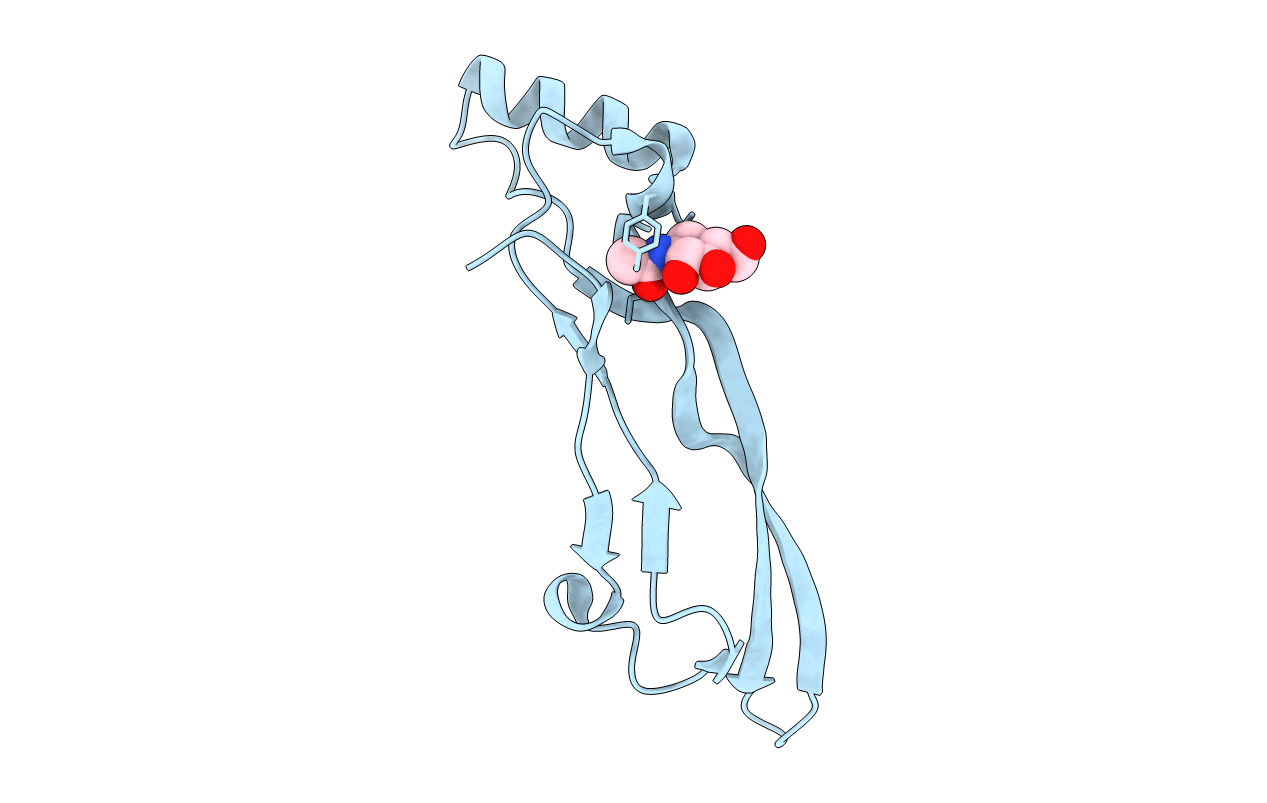 1LXI image