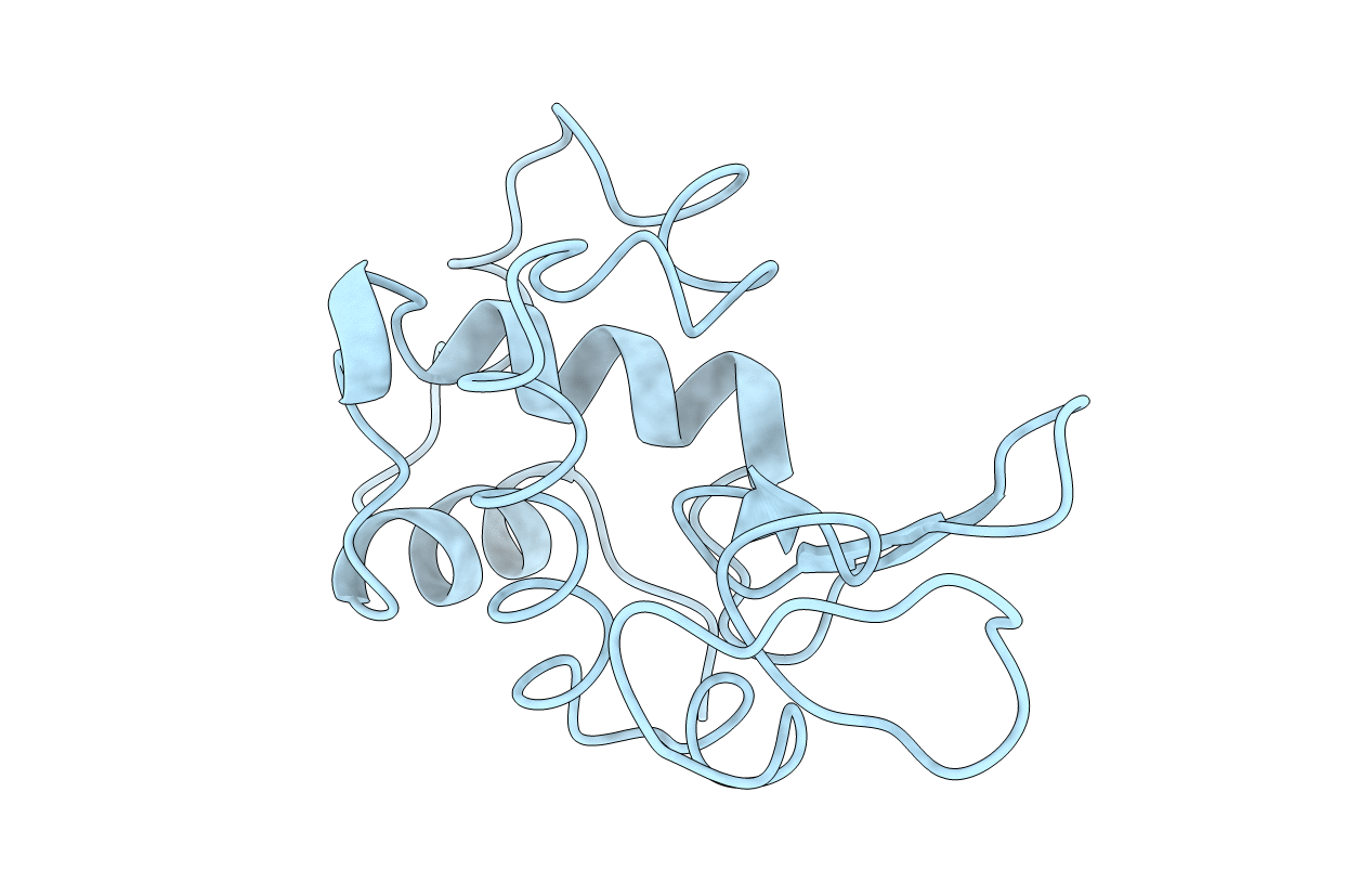 1LYO image