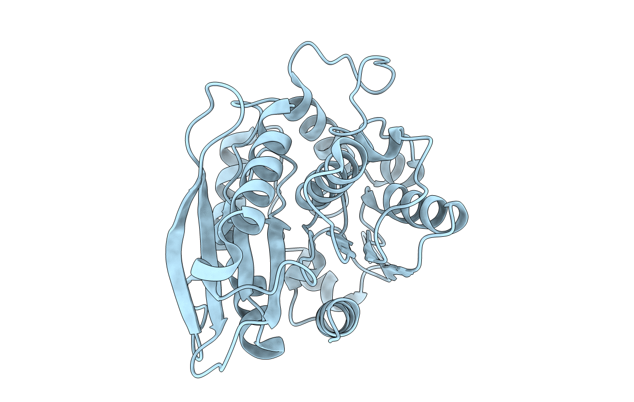 1LZL image