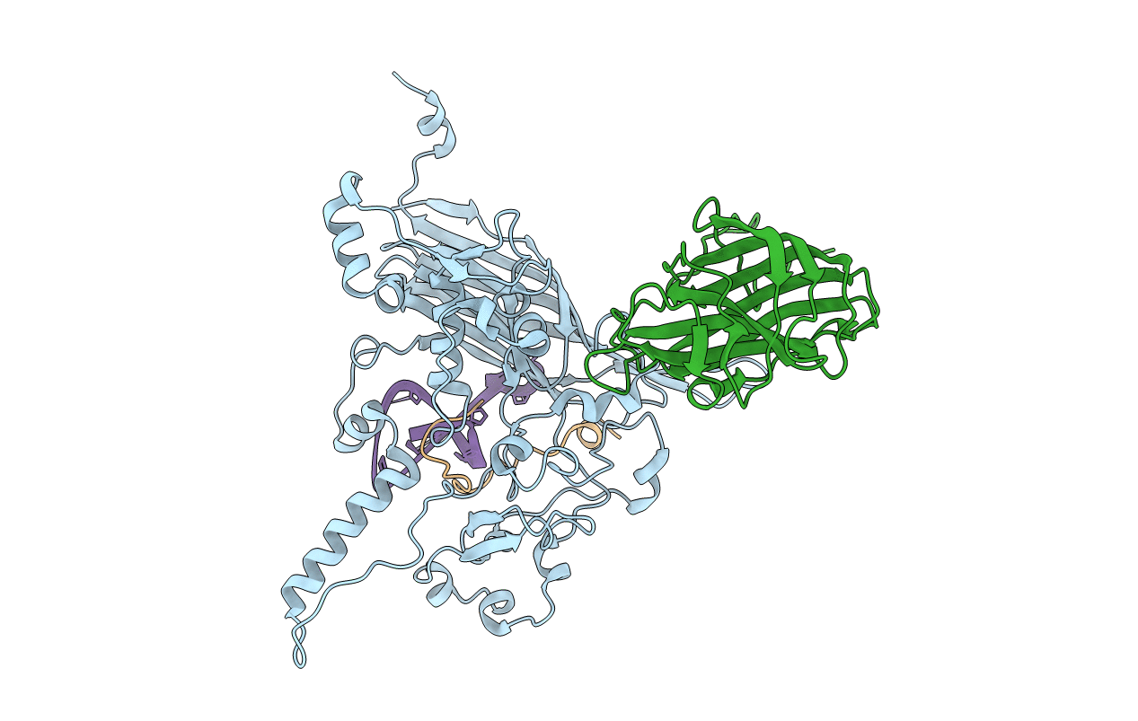 1M06 image