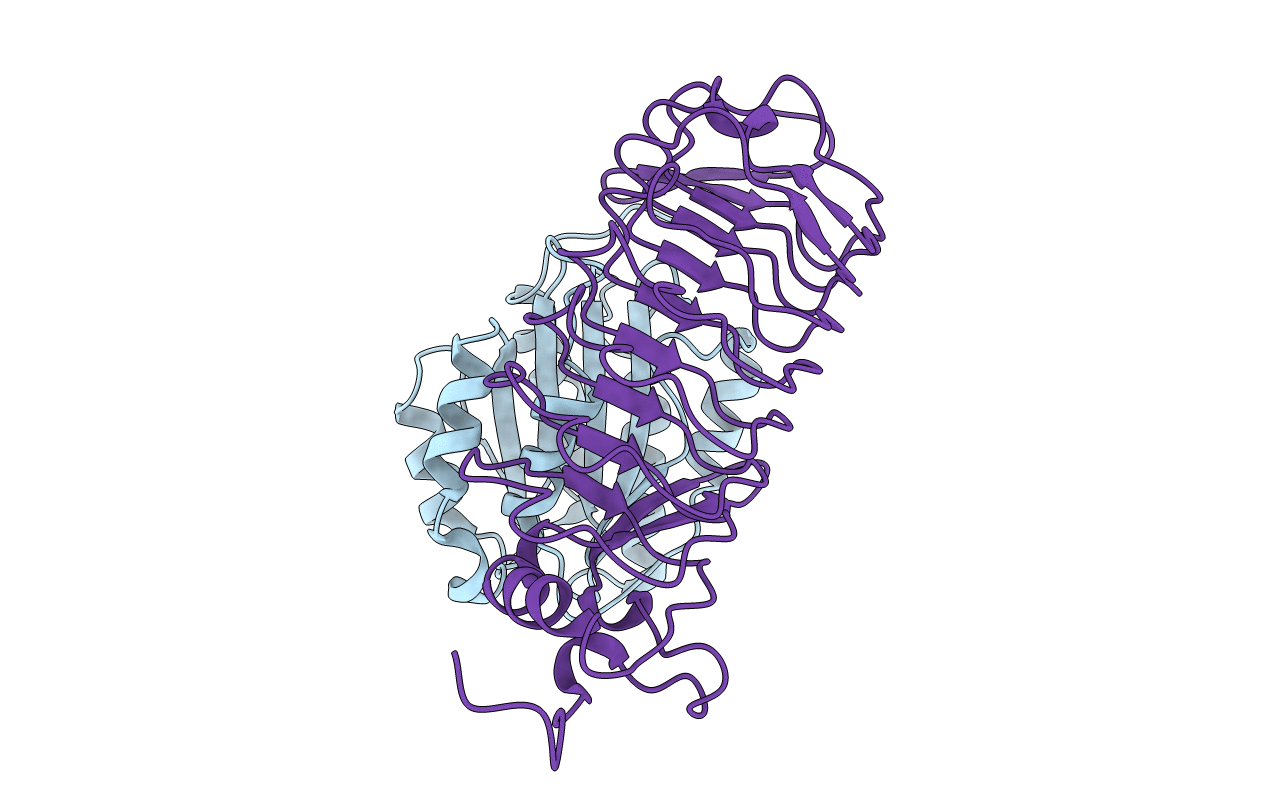 1M10 image
