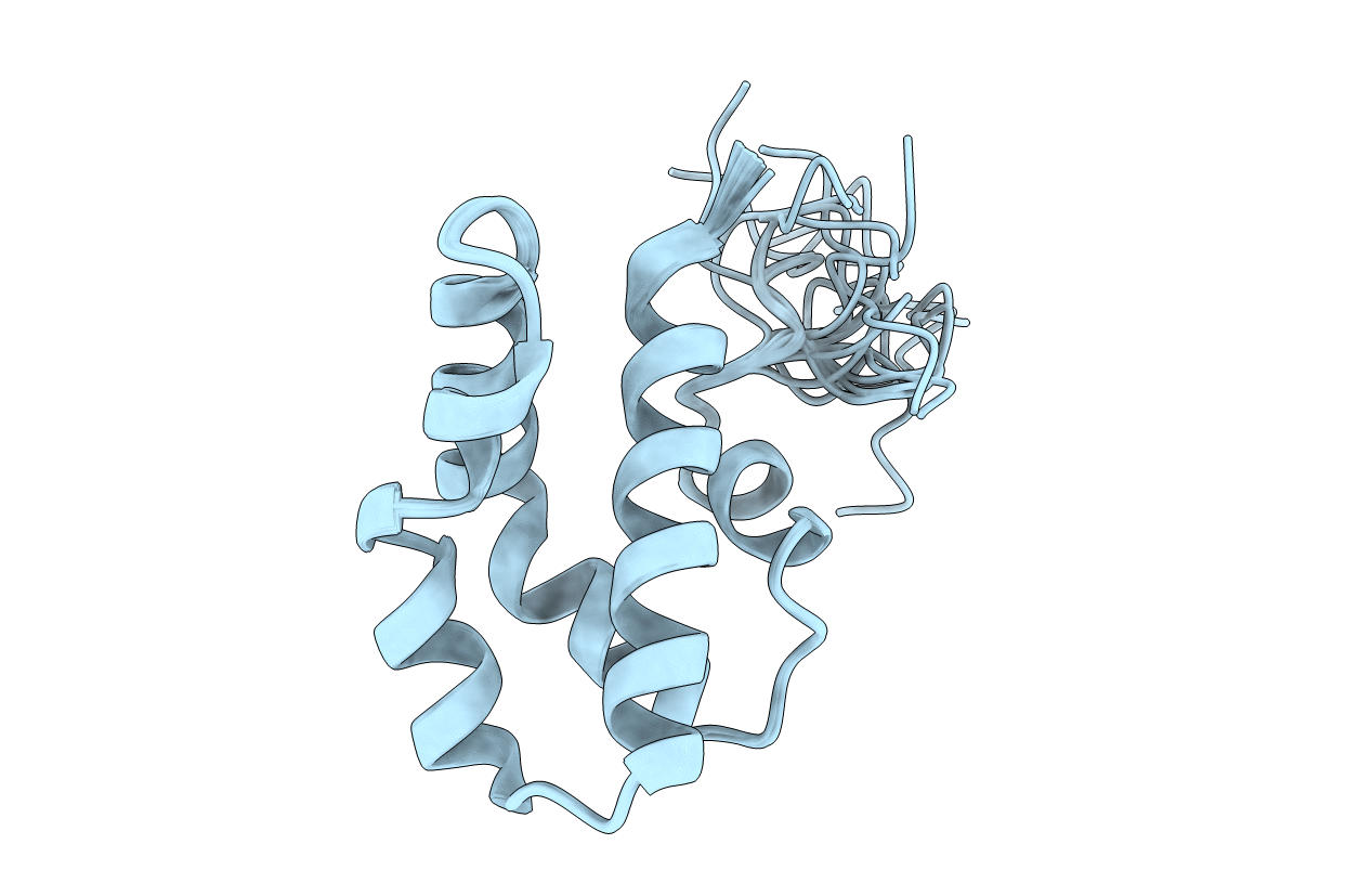 1M12 image