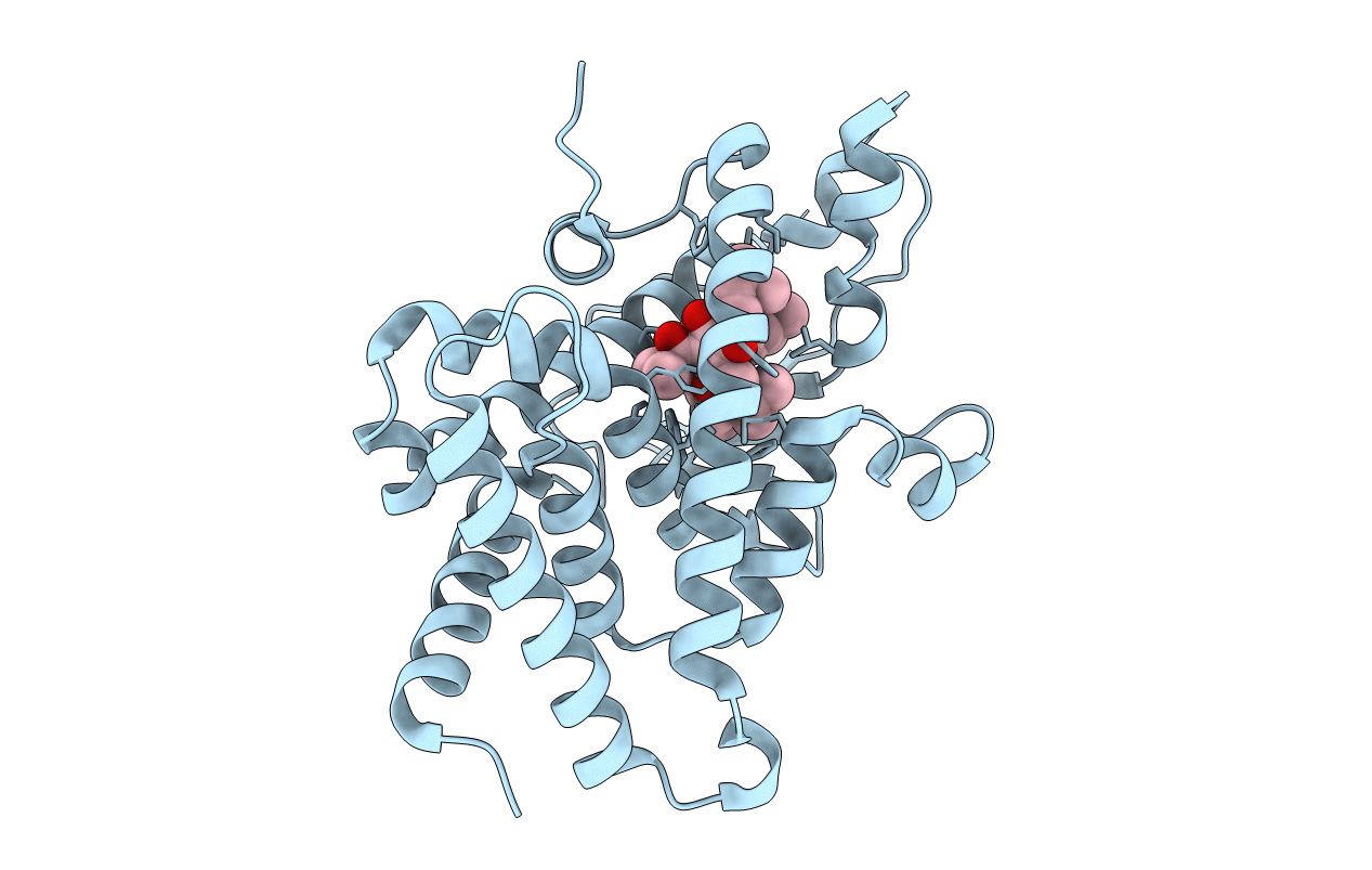 1M13 image
