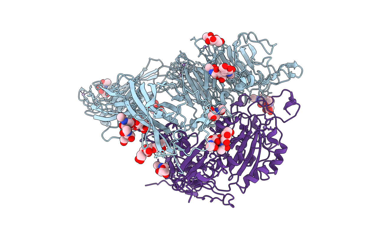 1M1X image