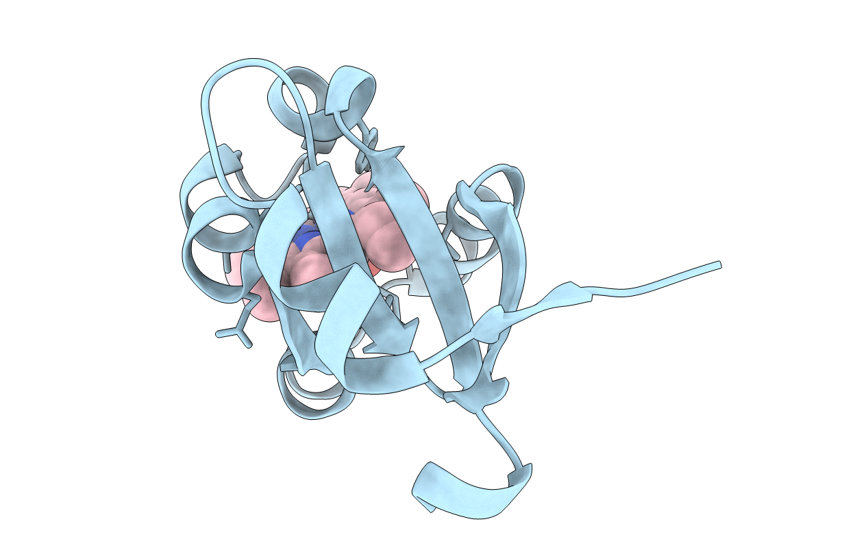 1M20 image