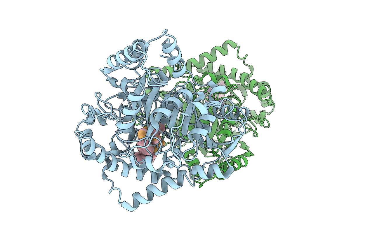 1M21 image
