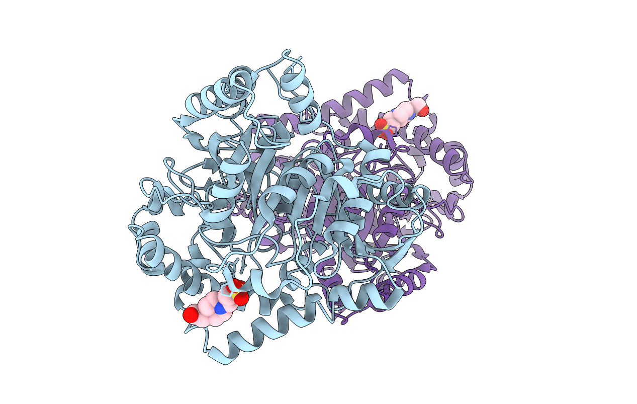 1M22 image