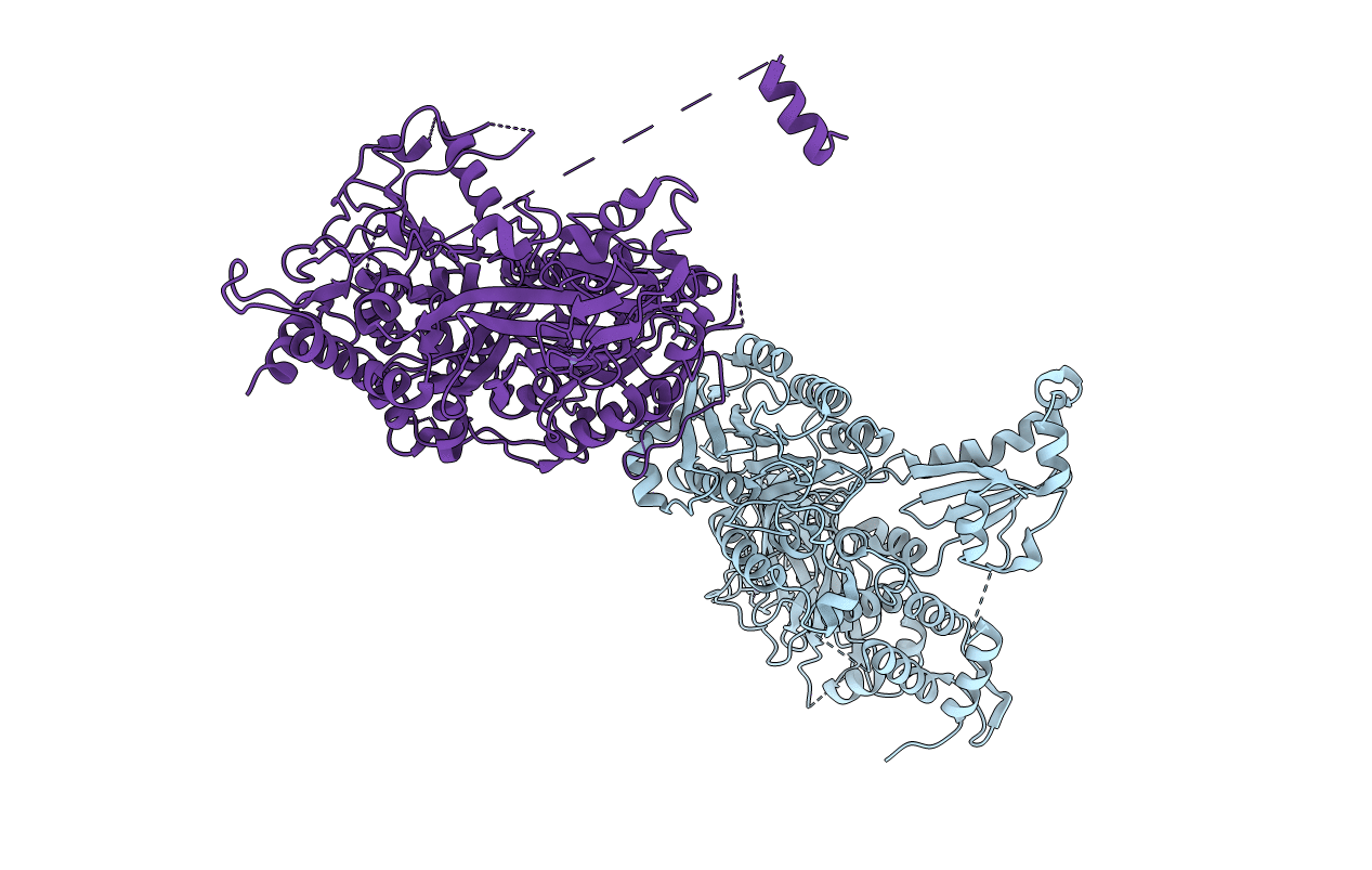 1M2V image