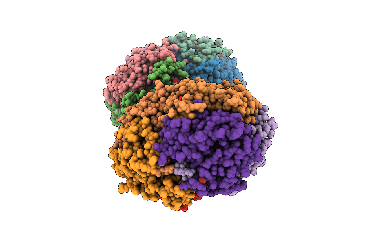 1M3D image