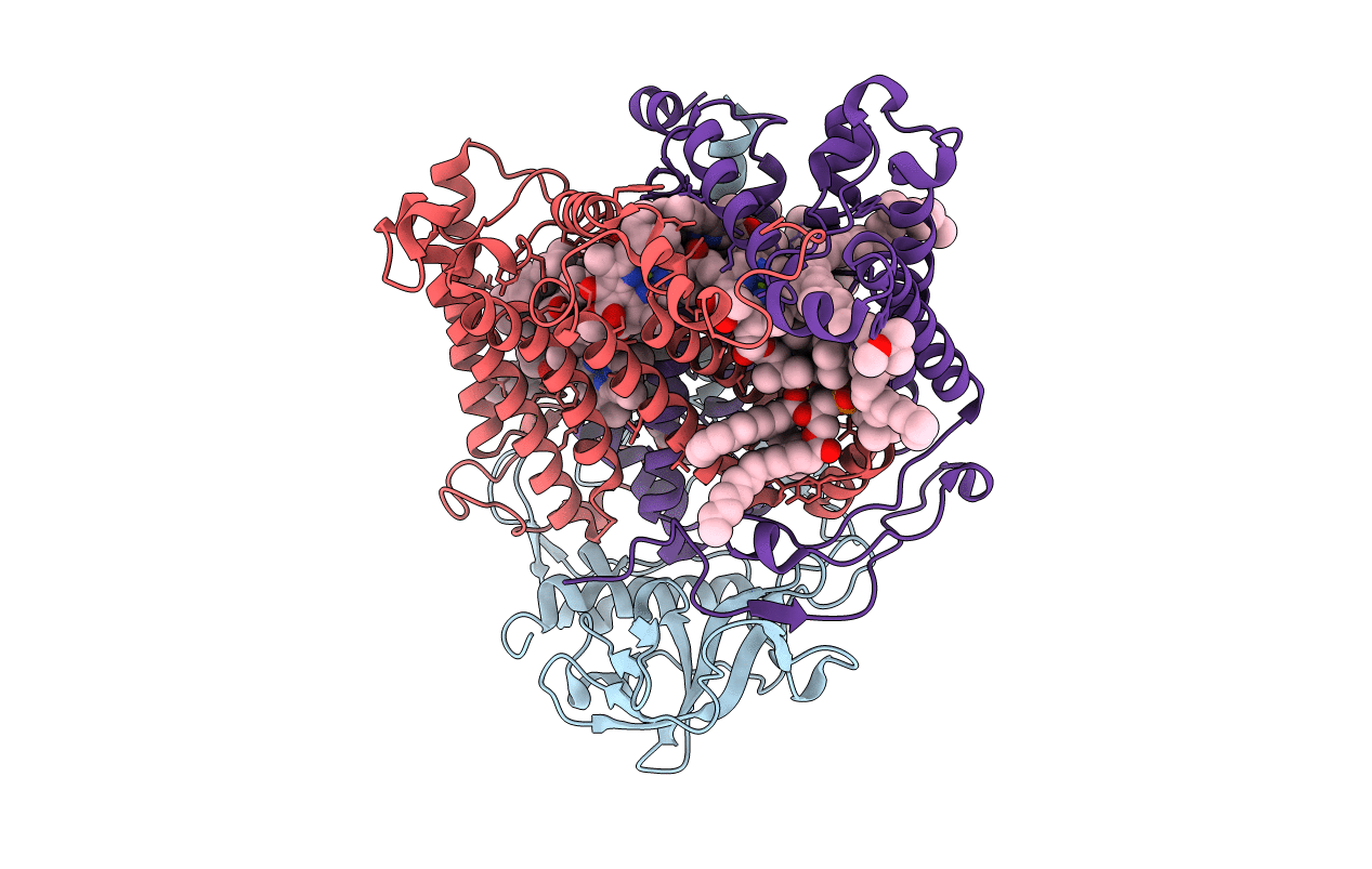 1M3X image