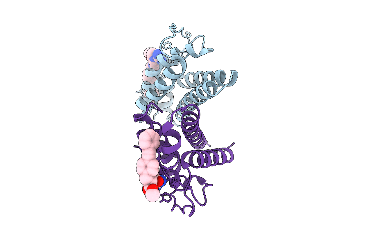 1M48 image