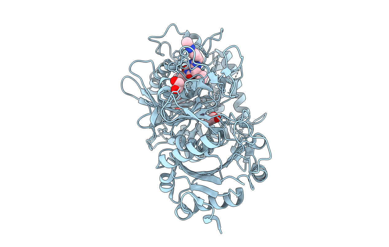 1M51 image