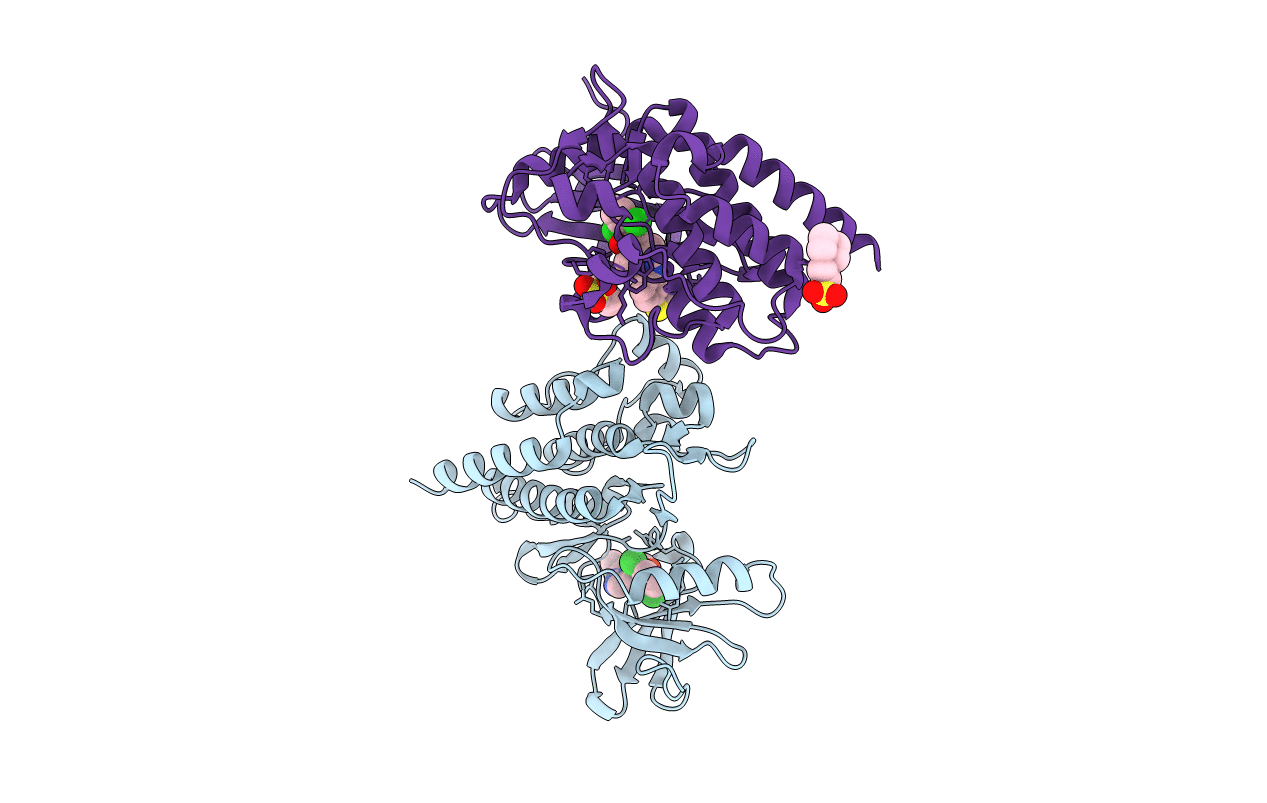 1M52 image
