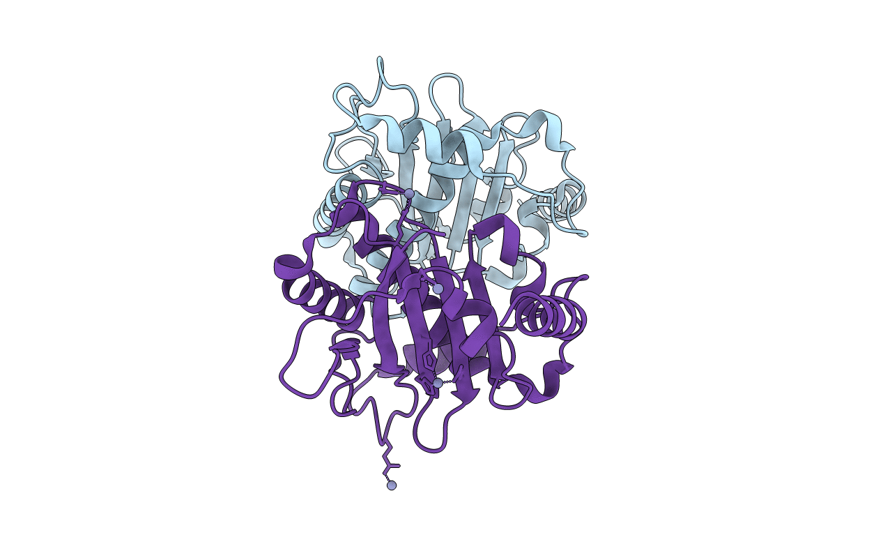 1M55 image