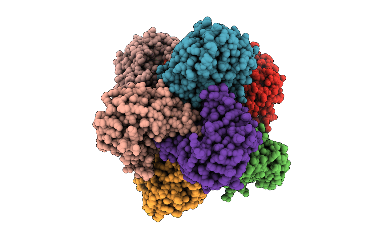 1M5W image