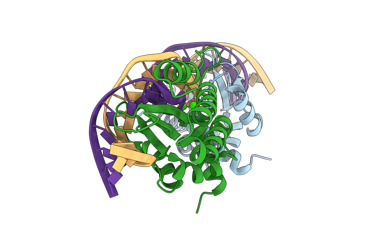 1M5X image