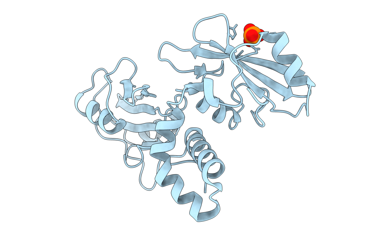 1M61 image