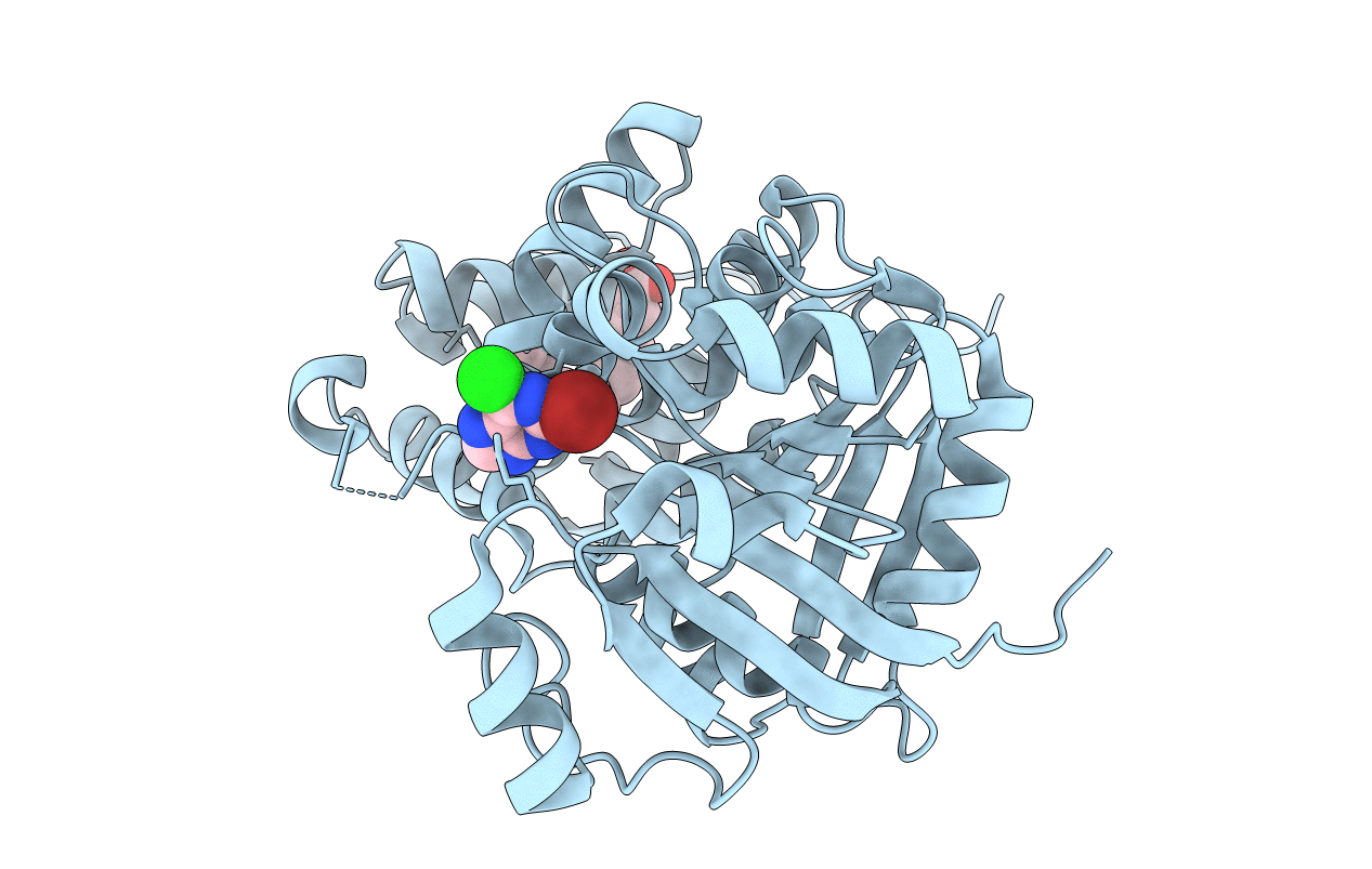 1M66 image