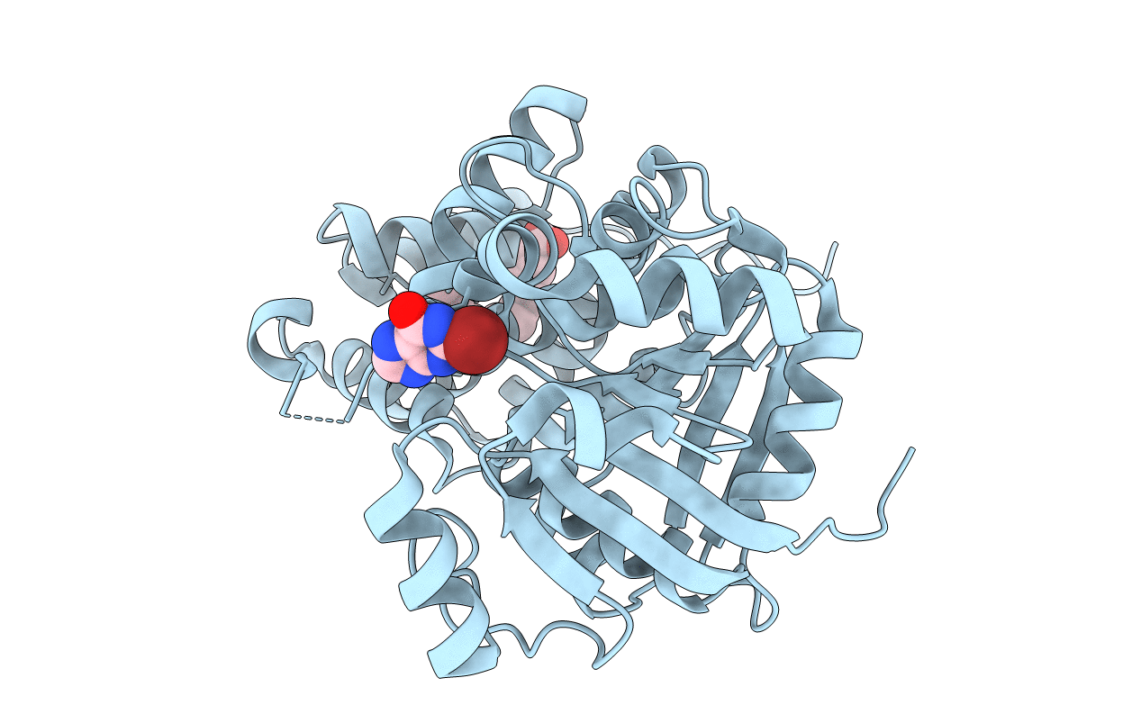 1M67 image