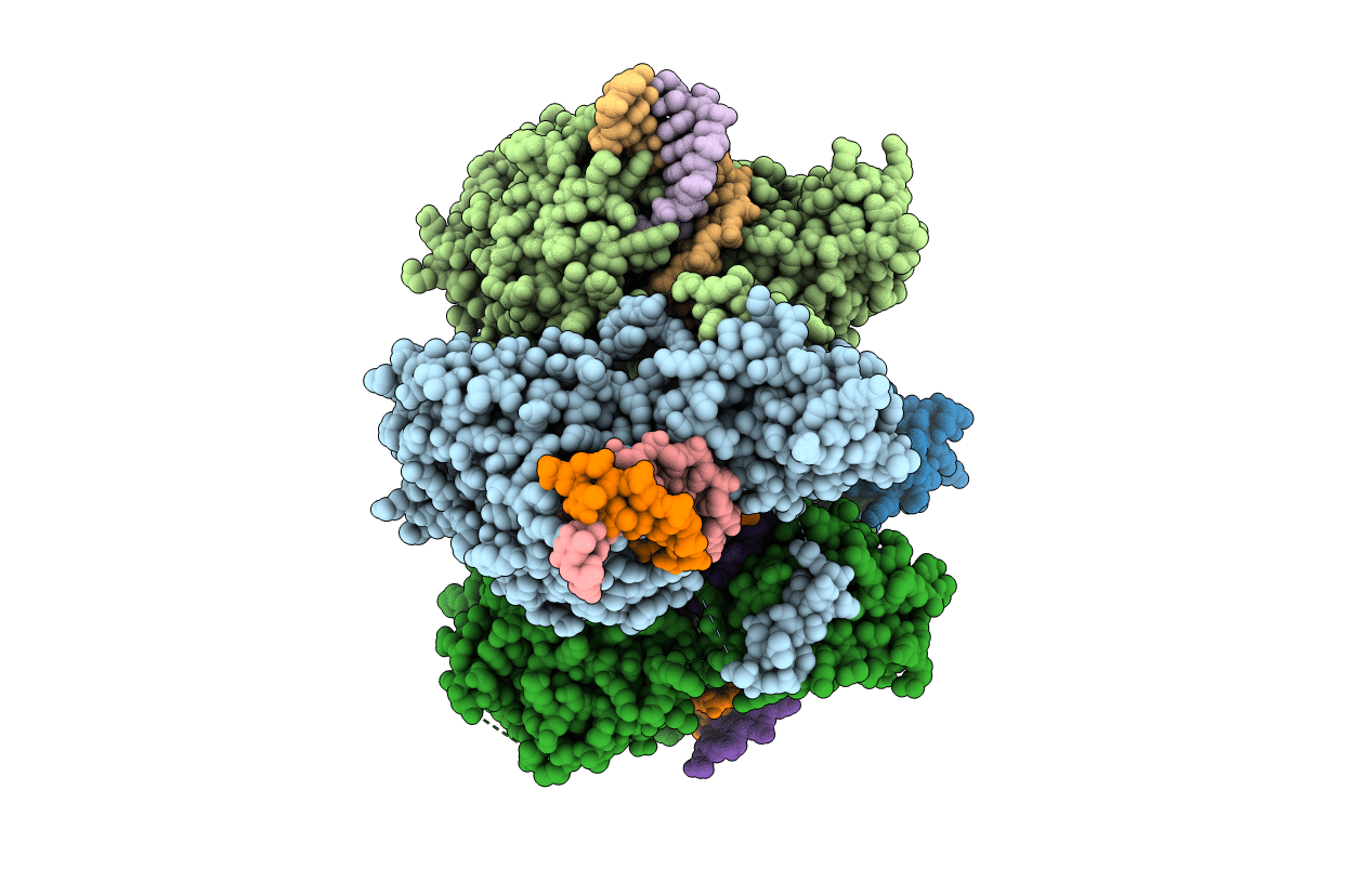 1M6X image