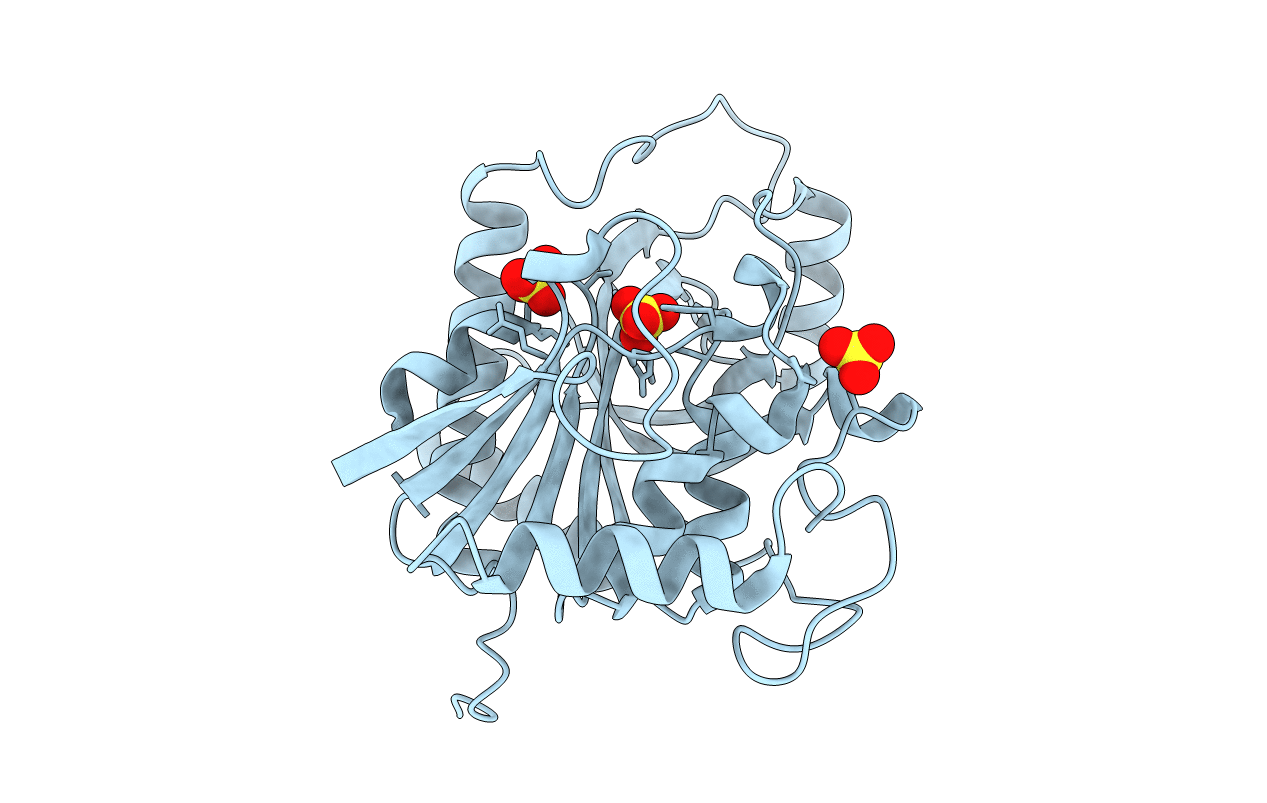 1M73 image