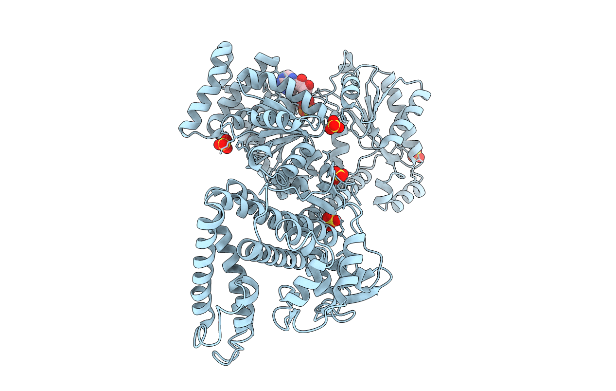 1M74 image