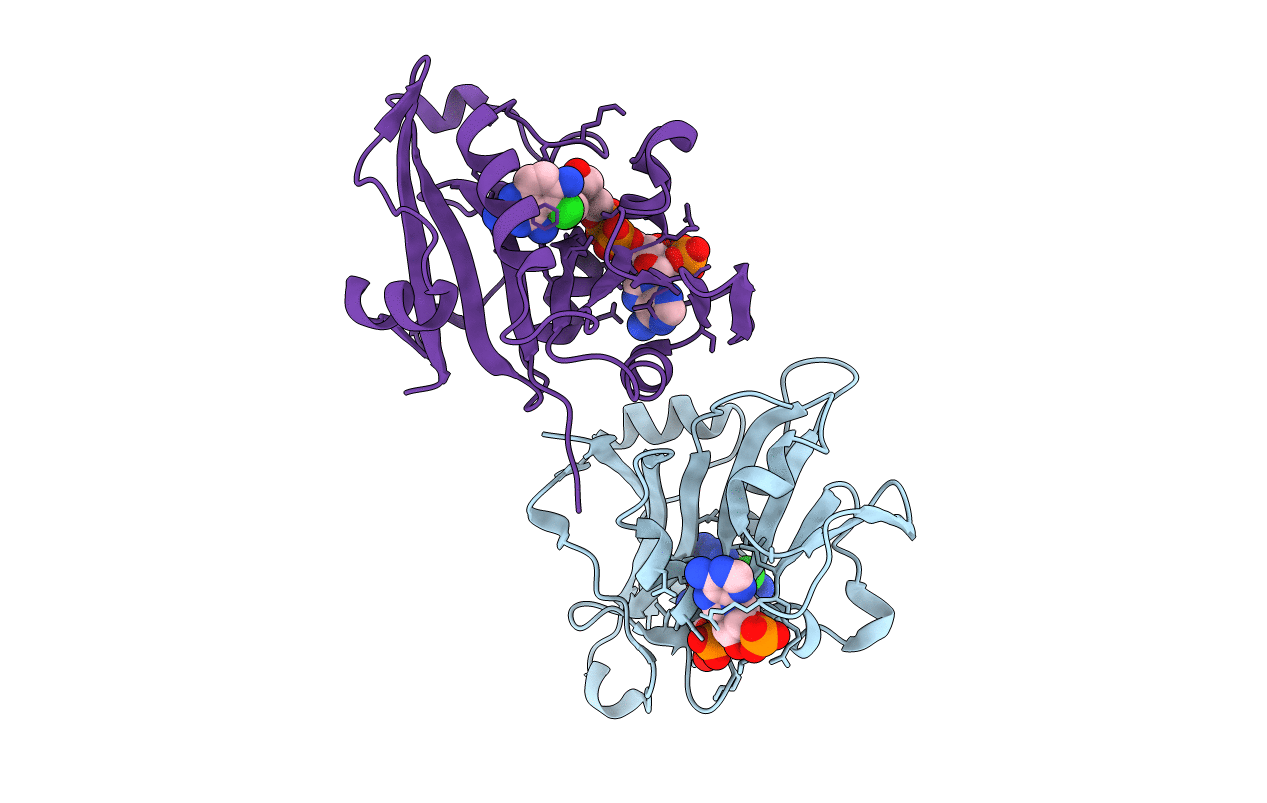 1M78 image