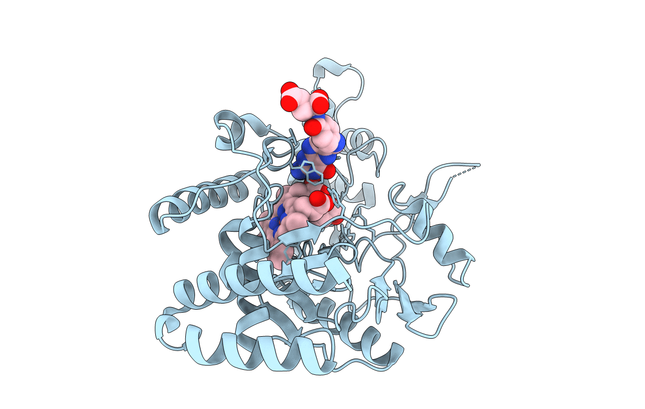1M7V image