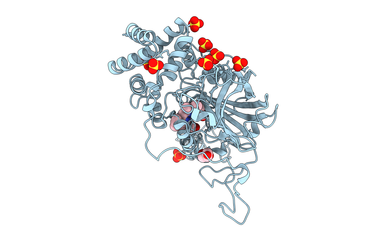 1M85 image