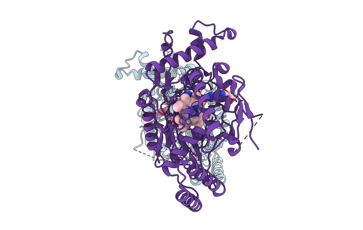 1M8I image