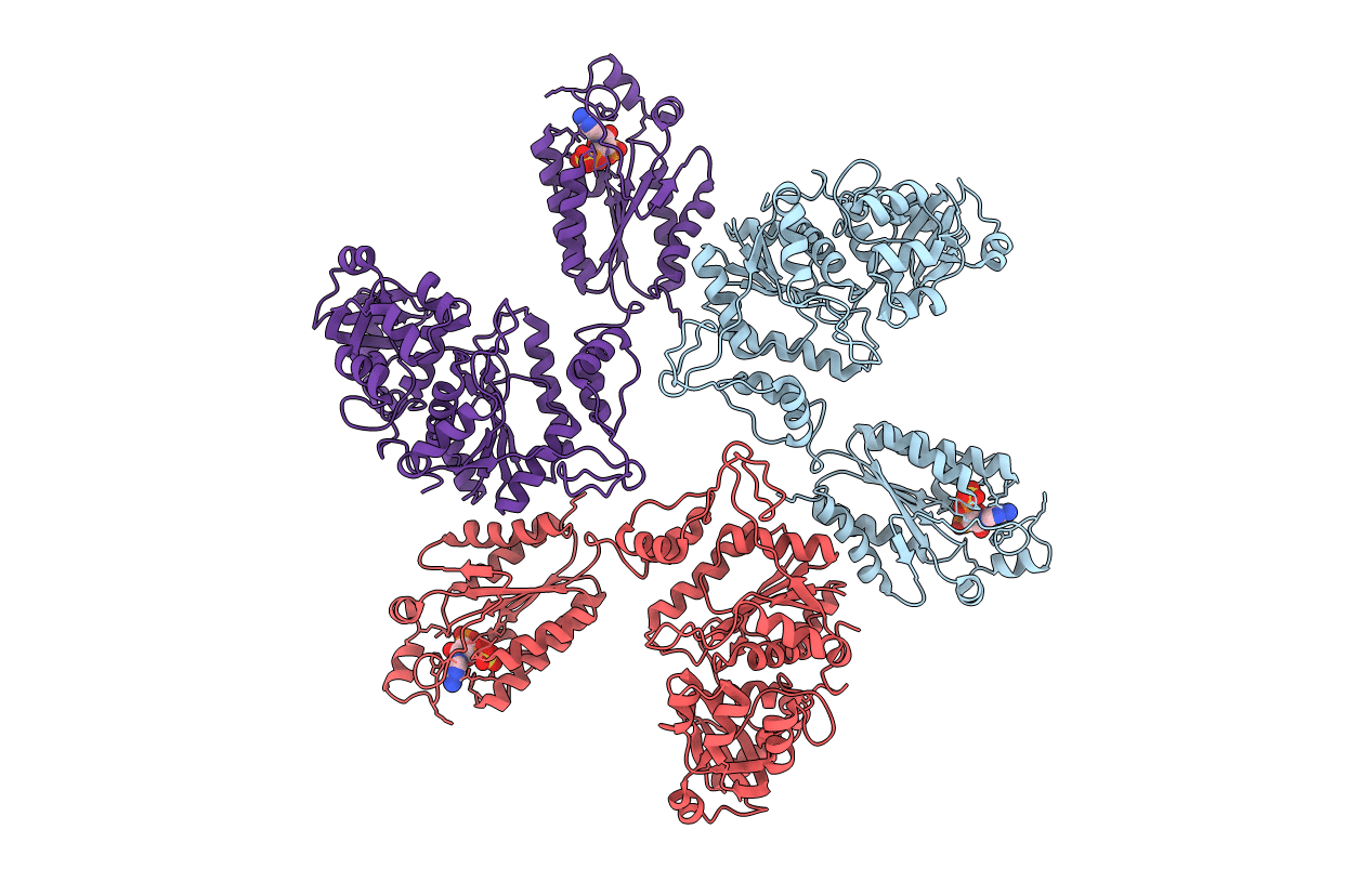 1M8P image