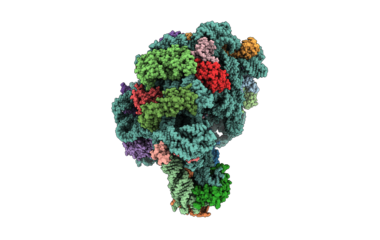 1M90 image