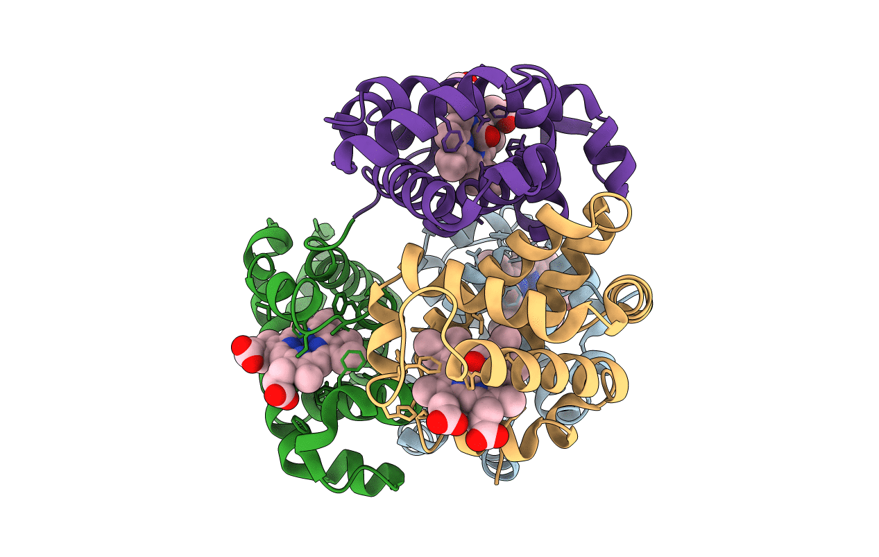 1M9P image