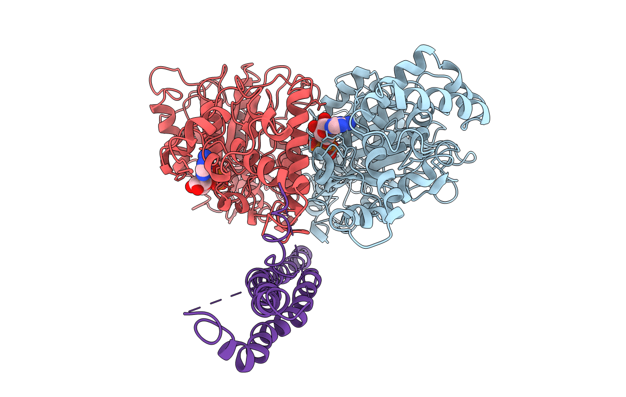 1MAB image