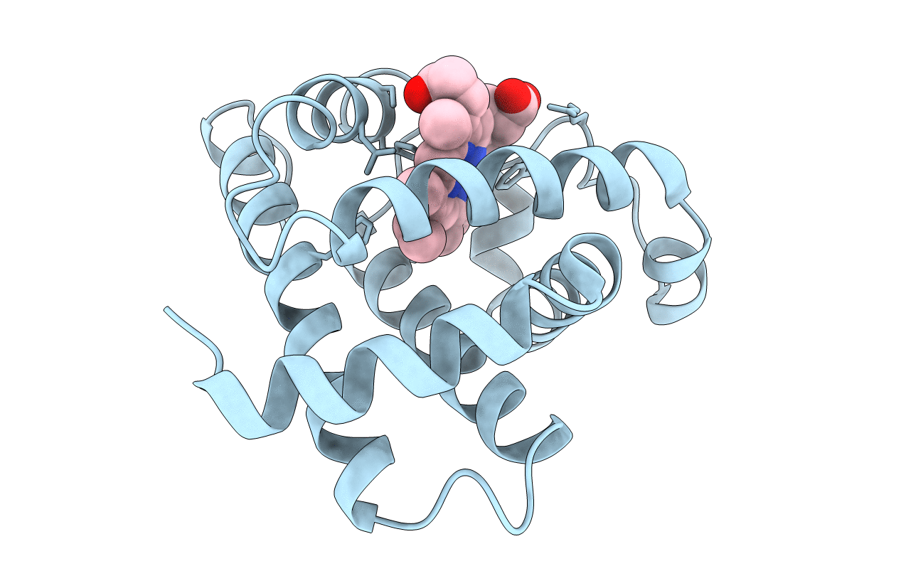 1MBN image