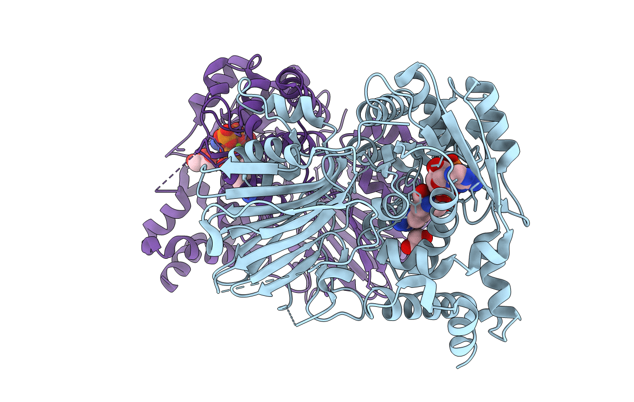 1MBZ image