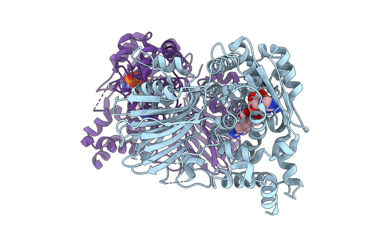 1MC1 image